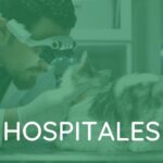 hospital veterinario en barcelona