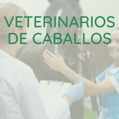 veterinarios de caballos en Barcelona
