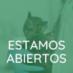 veterinaros en barcelona abiertos ahora