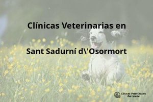 Clínicas Veterinarias en Sant Sadurní d’Osormort