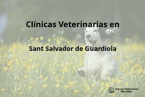 Clínicas Veterinarias en Sant Salvador de Guardiola